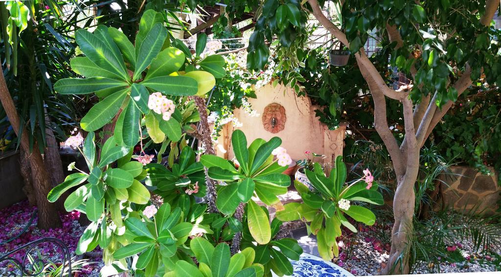 B&B Le Terrazze Capo dʼOrlando Buitenkant foto